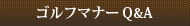 �S���t�}�i�[�p���`