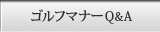 �S���t�}�i�[�p���`